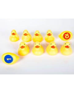 Smart Splash Number Fun Ducks